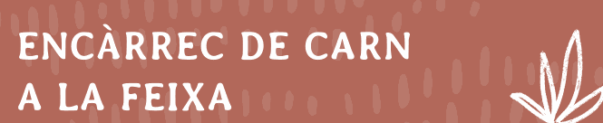 Odoo • Imatge amb peu de foto