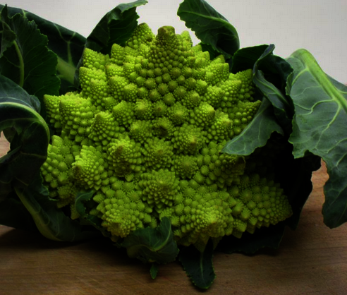 Bròquil romanesco, València