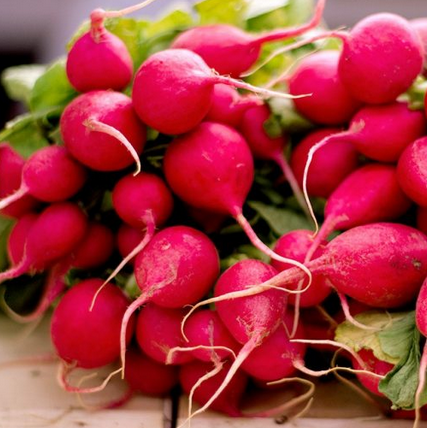 Ravenet (manat) Maresme