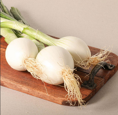 Ceba tendra (manat), Alt Camp