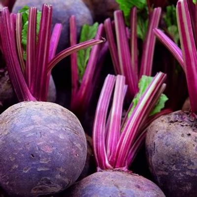 Remolatxa (kg) Baix Ebre