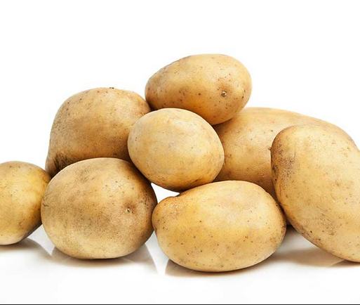 Patata blanca Dounia, Argentona