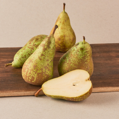 Pera CONFERENCE, Pla d'Urgell