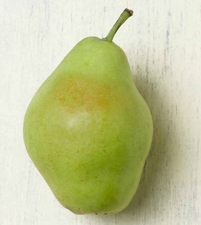 Pera blanquilla, Segrià