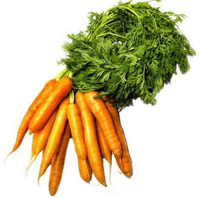 Pastanaga (manat)  Argentona