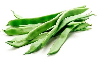 Mongeta plana, Baix Camp