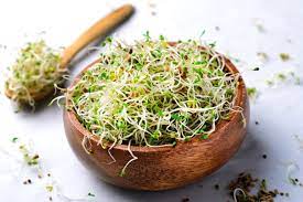 Germinat alfals i créixens 70g, Brot d'Or