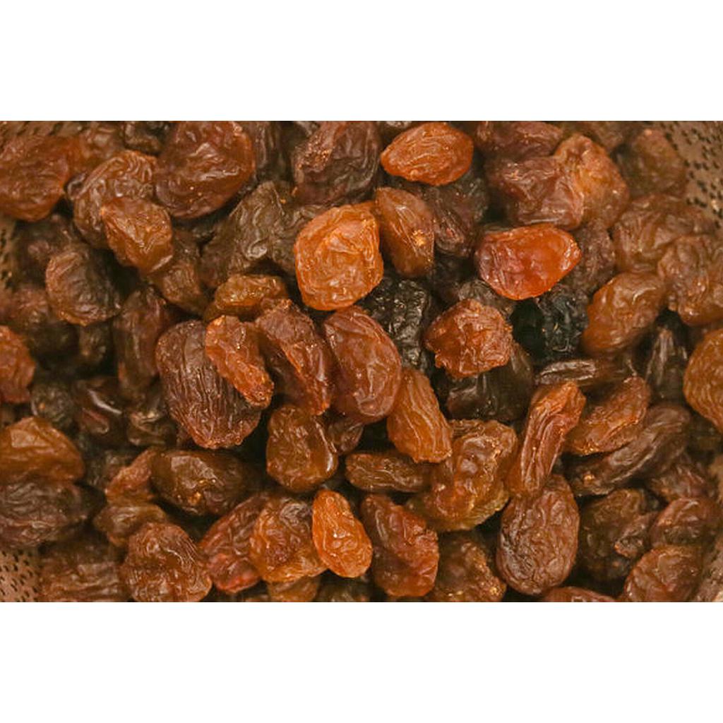 Pansa sultana de Turquia, Oleander