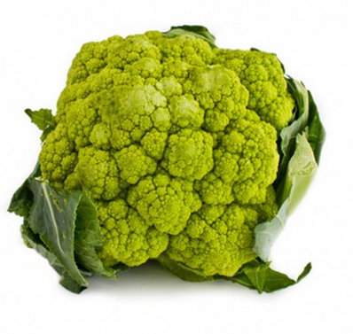 Bròquil verd (unitat), Argentona