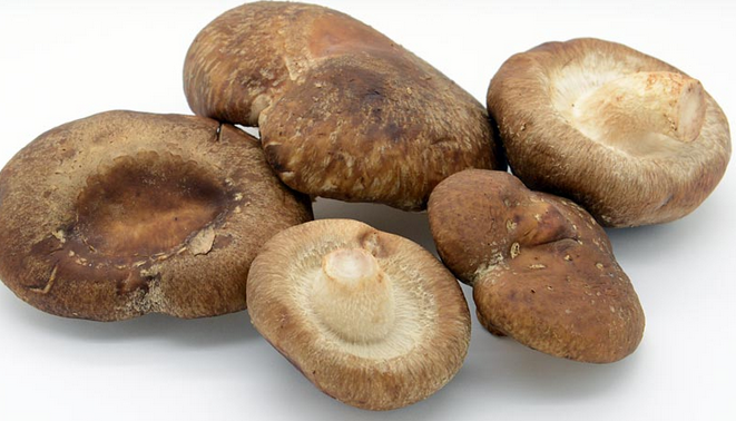 Xiitake (Kg), La Rioja