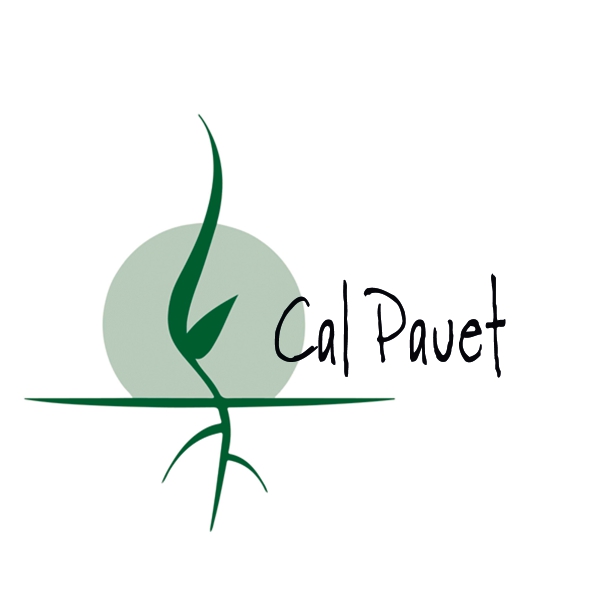 Farina Camut blanca 1kg, Cal Pauet