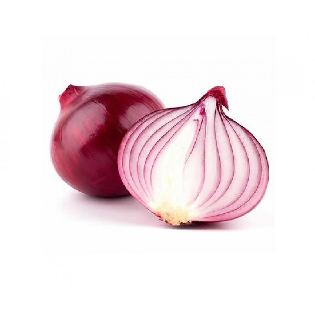 Ceba morada, Saragossa