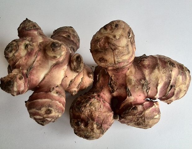 Nyàmera (Kg), Baix Ebre