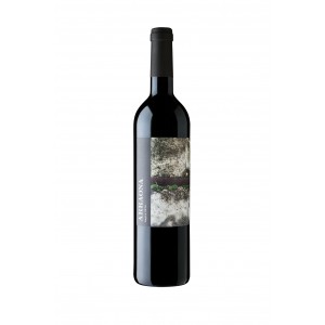 Vi blanc Arraona, L'Olivera