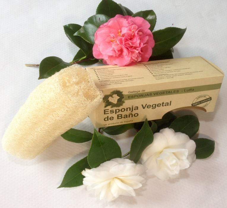 Esponja vegetal sua Luffa