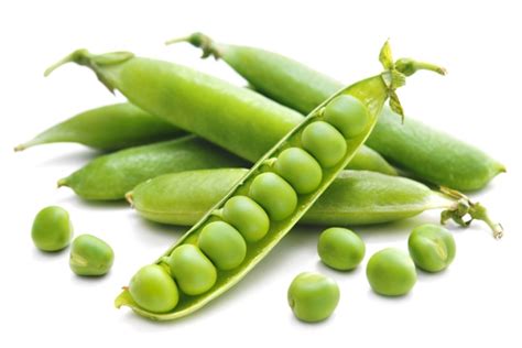 Pèsol (Kg), Argentona