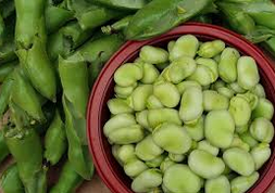 Faves (Kg), Argentona