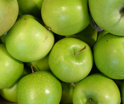 Poma àcida Granny Smith, Pla d'Urgell