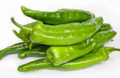 Pebrot italià verd, Almeria