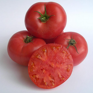 Tomacó de sucar, Castelló