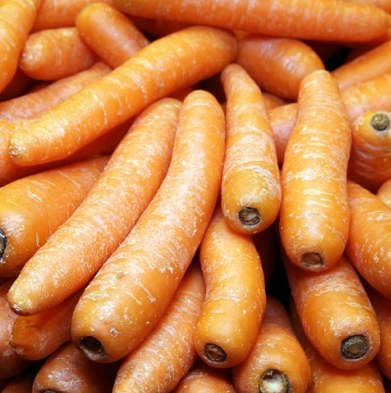 Pastanaga, Vallès Oriental