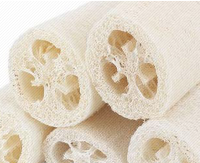 Esponja vegetal luffa mitjana