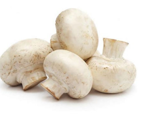 Xampinyó blanc (kg) La Rioja