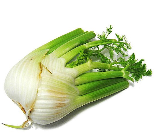 Fonoll (kg), Baix Ebre