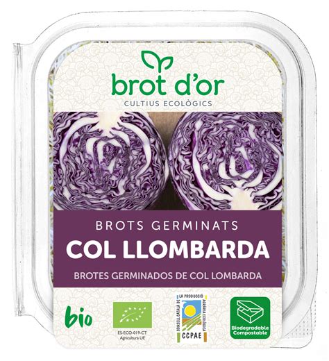 Germinat col llombarda 70g, Brot d'Or