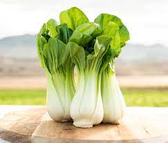 Bleda xinesa PAK CHOI (unitat), Baix Ebre