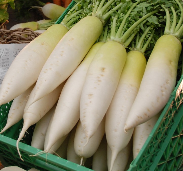 Rave daikon (kg), Baix Ebre