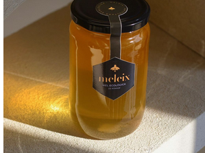 Mel del Castanyer eco 500g, Meleix