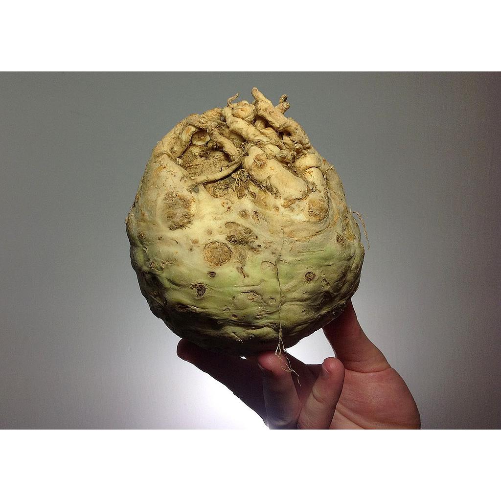 Api-rave (kg), França