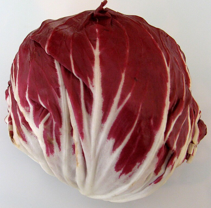 Xicoira (Radicchio) unitat, Múrcia