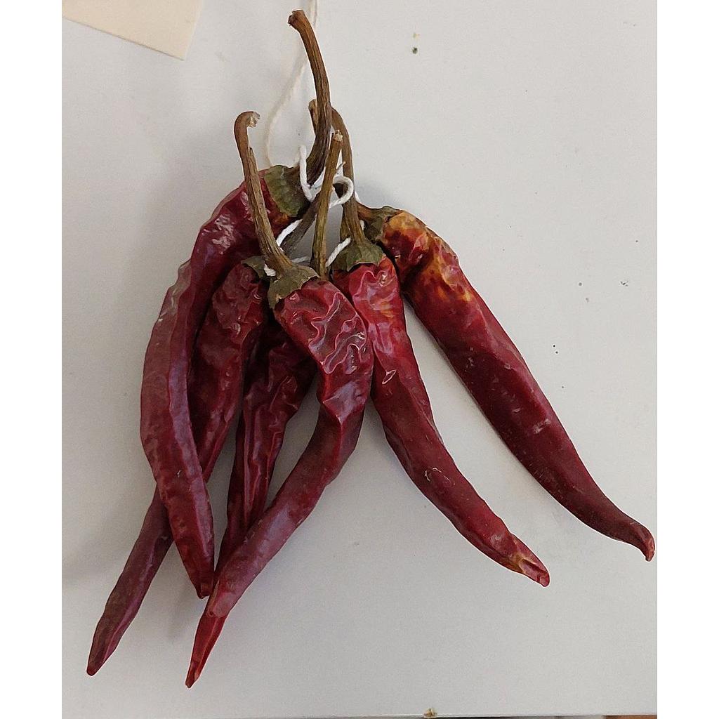 Pebrot bitxo (unitat) Terra Pagesa