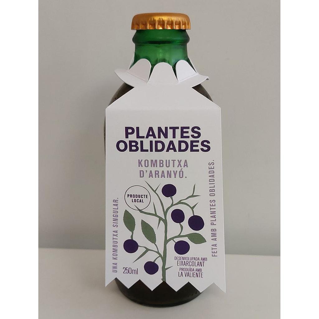 Kombutxa d'aranyó 250ml, Plantes oblidades