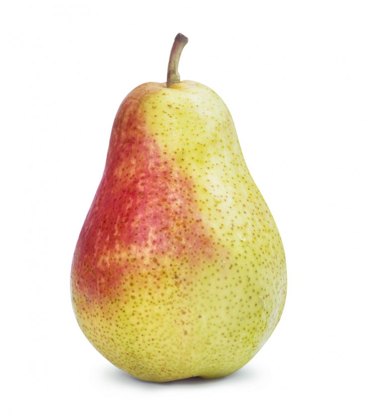 Pera HARROW SWEET (kg), Pla d'Urgell