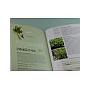 Llibre plantes silvestres comestibles 2